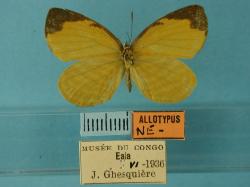 ATrecto