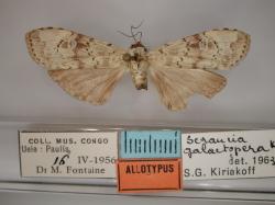 ATrecto