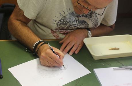 Scientific illustrator Alain Reygel at work