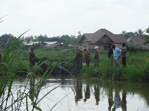 Invert_Foto1_kweekvijvers-Kisangani_Huyse.jpg