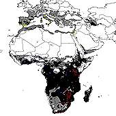 ceratitis_capitata_map.gif