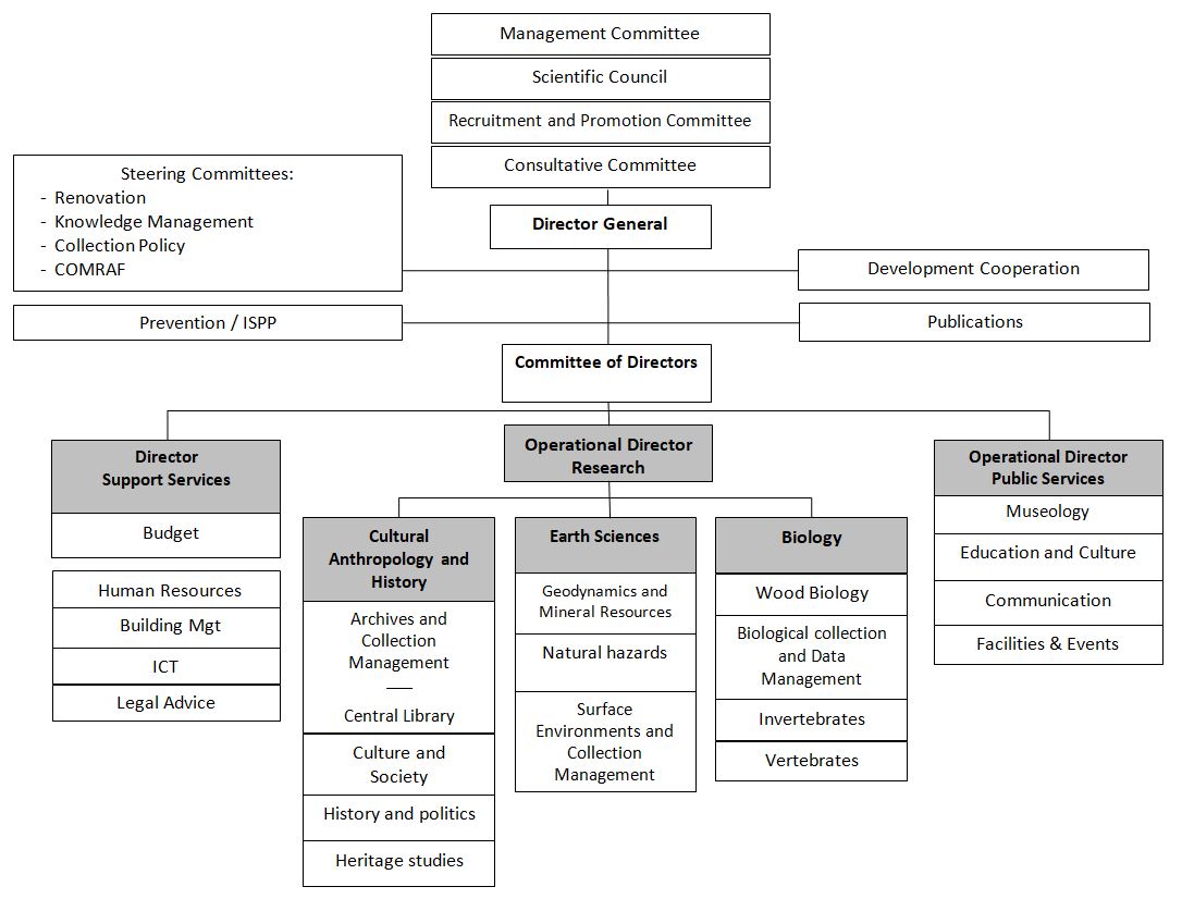 Museum Org Chart