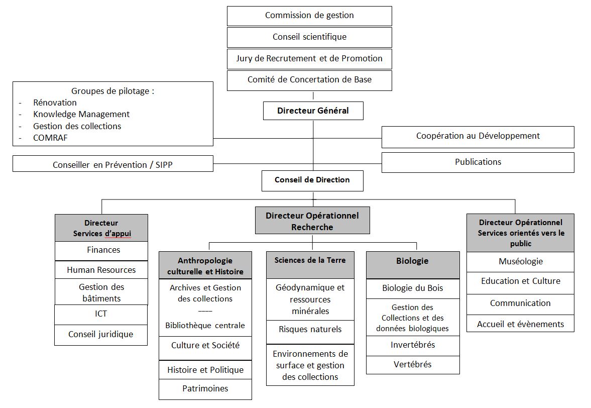 Organigramme, lisez la version texte ci-dessous