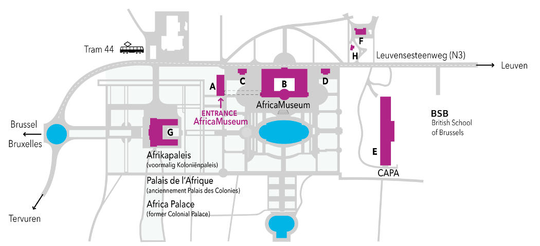 plan du site du musée