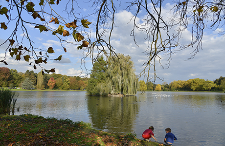 het park van Tervuren