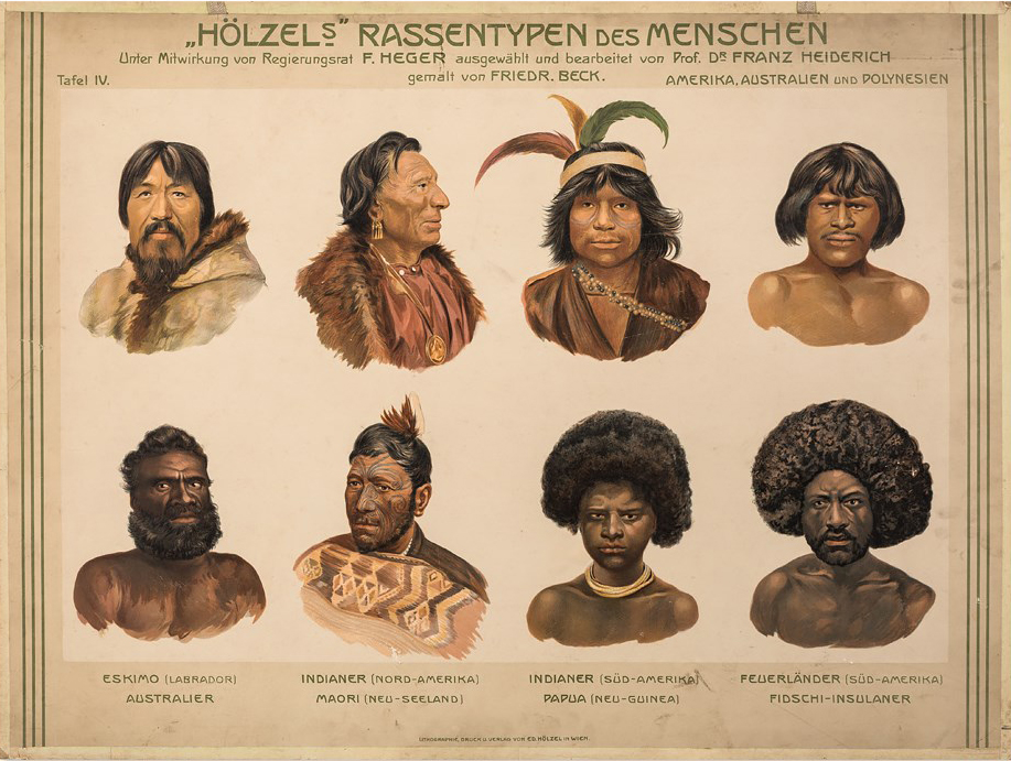 Human Racises Genetica, ras en racisme | Royal Museum for Central Africa - Tervuren ...