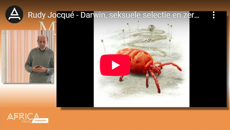 Rudy Jocqué - Darwin, seksuele selectie en zerogamie
