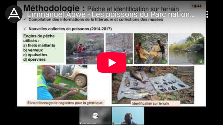 Emmanuel Abwe - Les poissons du Parc national de Kundelungu (RD Congo) : diversité et mesures de conservation