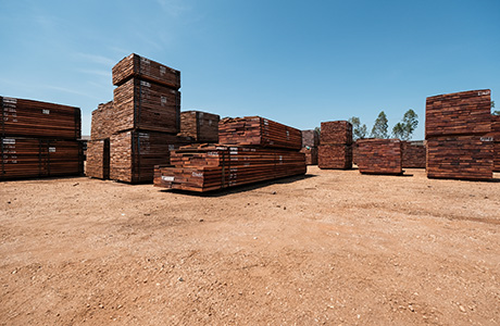 Wood transformation at the Compagnie Forestière et de Transformation