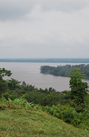 Yangambi biosphere reserve