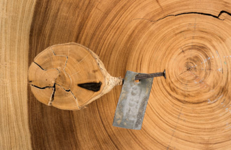 smalltrees_460.jpg