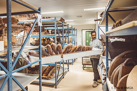 Collections Management