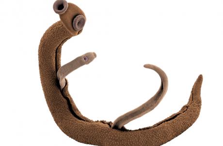 ""