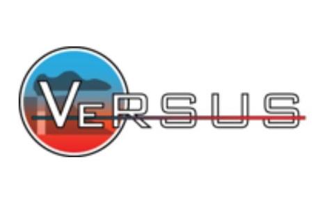 VeRSUS: Open-Vent Volcano Remote Sensing Monitoring using Spaceborne Imagery