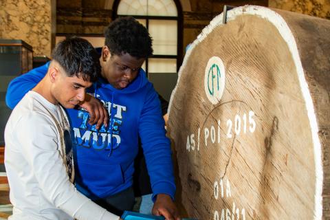 Rondleiding Hout voor jongeren