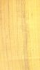 macroscopic photograph of wood