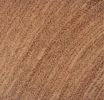 macroscopic photograph of wood