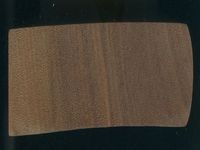 Scan transversal view