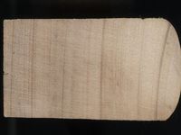 Scan transversal view