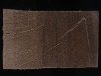 Scan transversal view