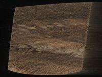 Scan transversal view