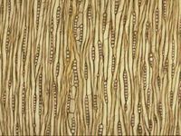 Tangential section