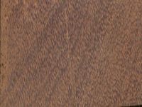 Transversal view of wood