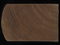 Scan transversal view