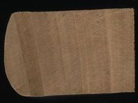 Scan transversal view