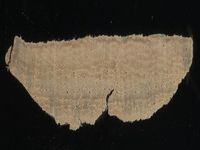 Scan transversal view