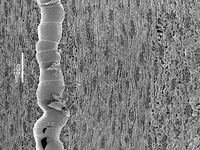 Tangential section