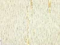 Tangential section