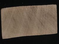 Scan transversal view