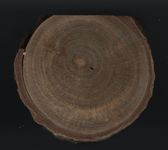 Scan transversal view