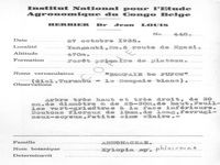 herbarium label