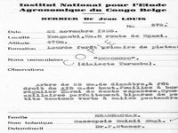 herbarium label