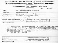 herbarium label