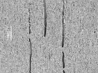 Tangential section