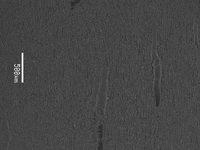 Tangential section