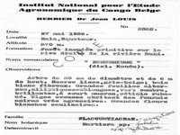 herbarium label