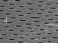 Tangential section