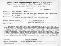 herbarium label