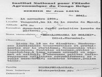 herbarium label