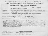 herbarium label