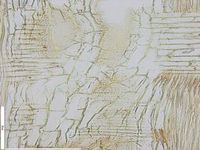 Radial section