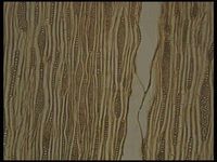 Tangential section
