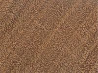 Transversal view of wood