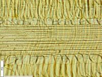 Radial section